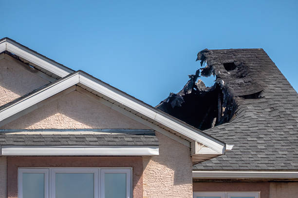 Top rated local Board Up Services specialists in Glyndon, MN